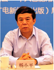 楊小平-企業(yè)培訓師